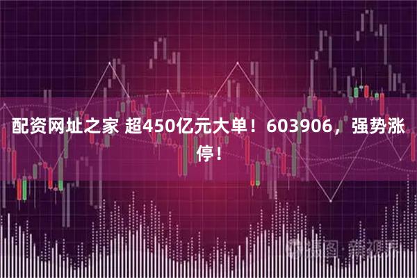 配资网址之家 超450亿元大单！603906，强势涨停！